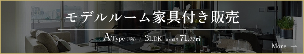 家具付きモデルルーム販売